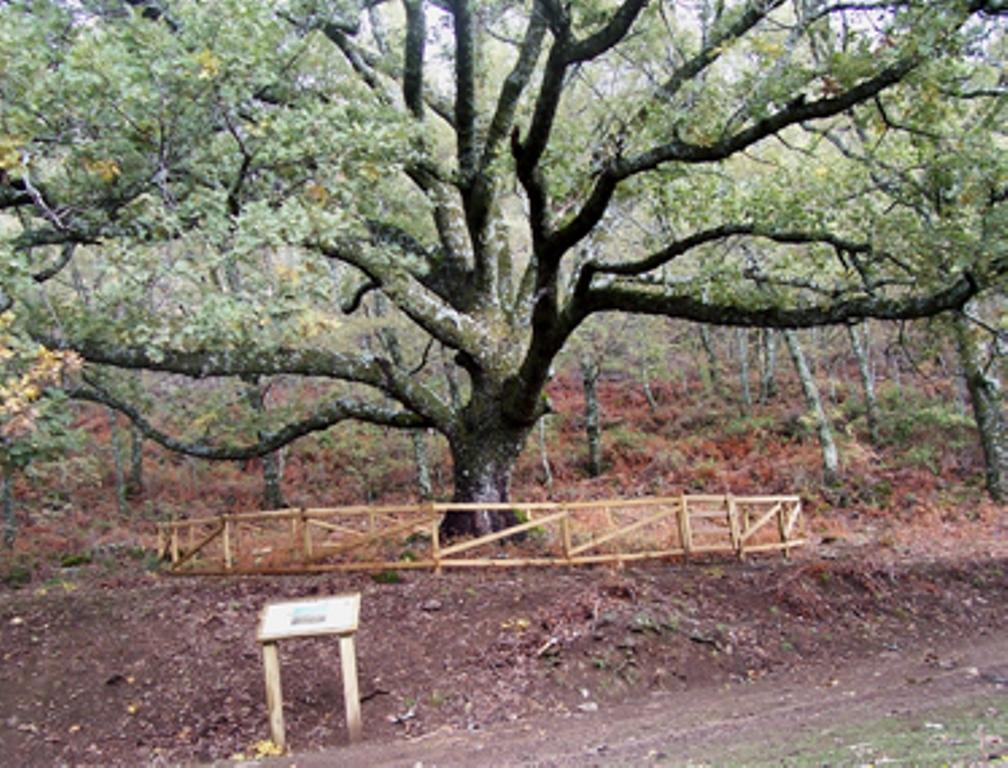 Las Calabazas Barrado 객실 사진